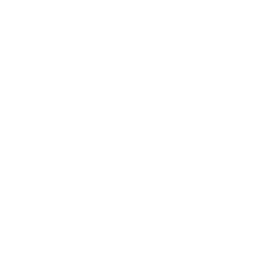 information management icon
