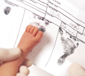 baby image of impetech